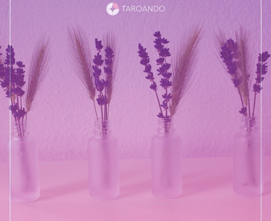 lavanda