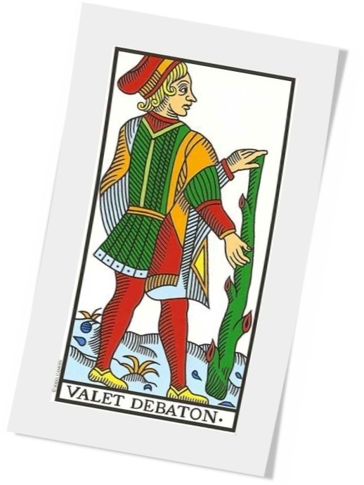 valete de paus phixr